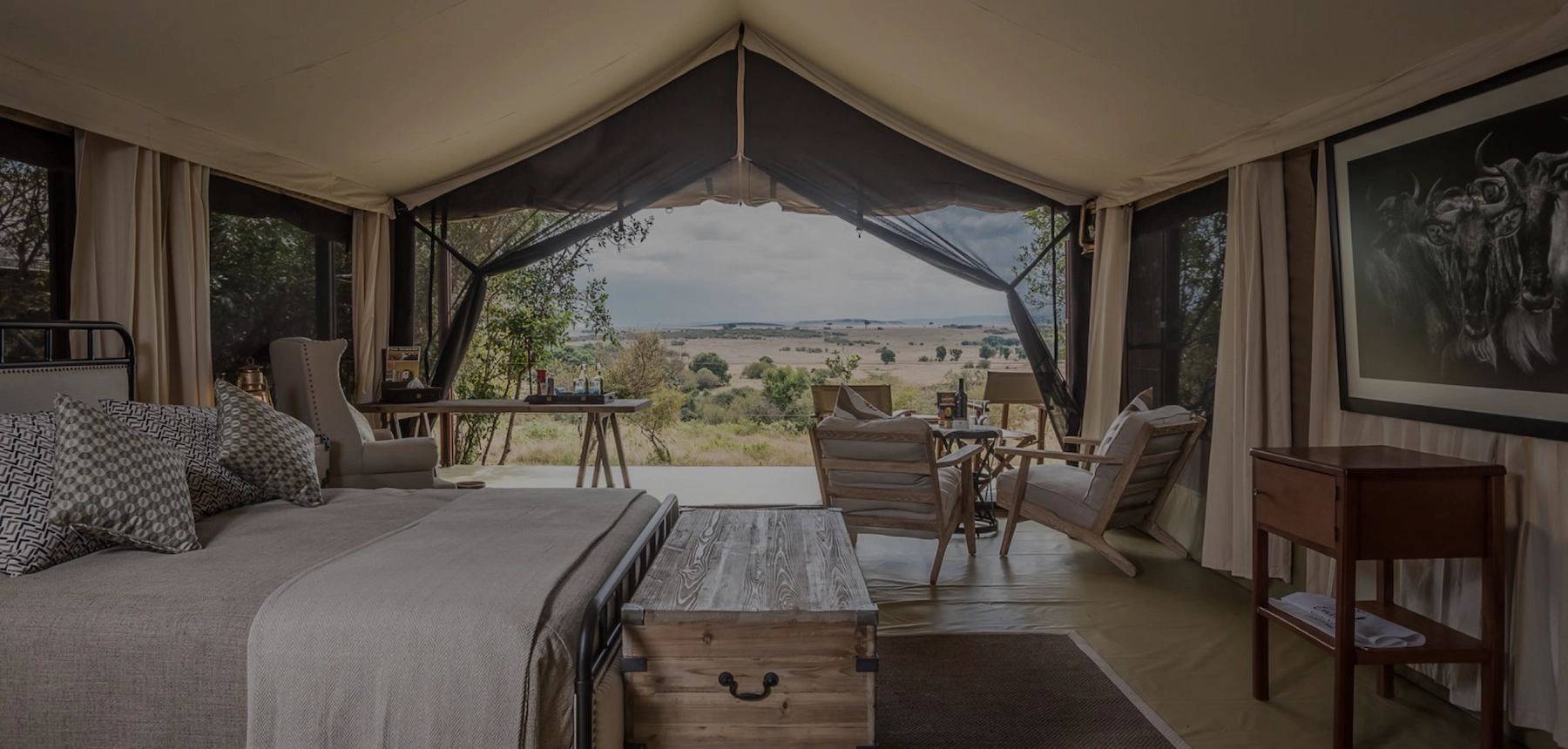 entim main premium tent