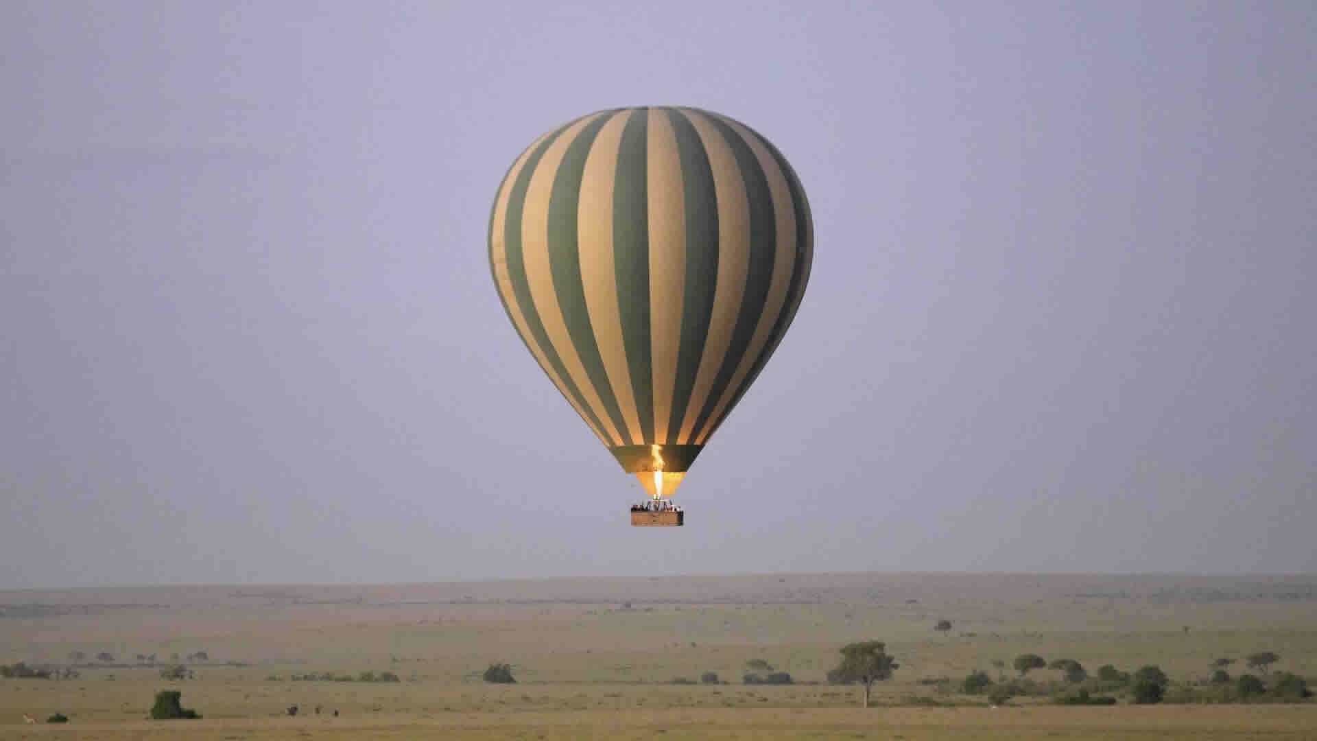 hot air balloon rides