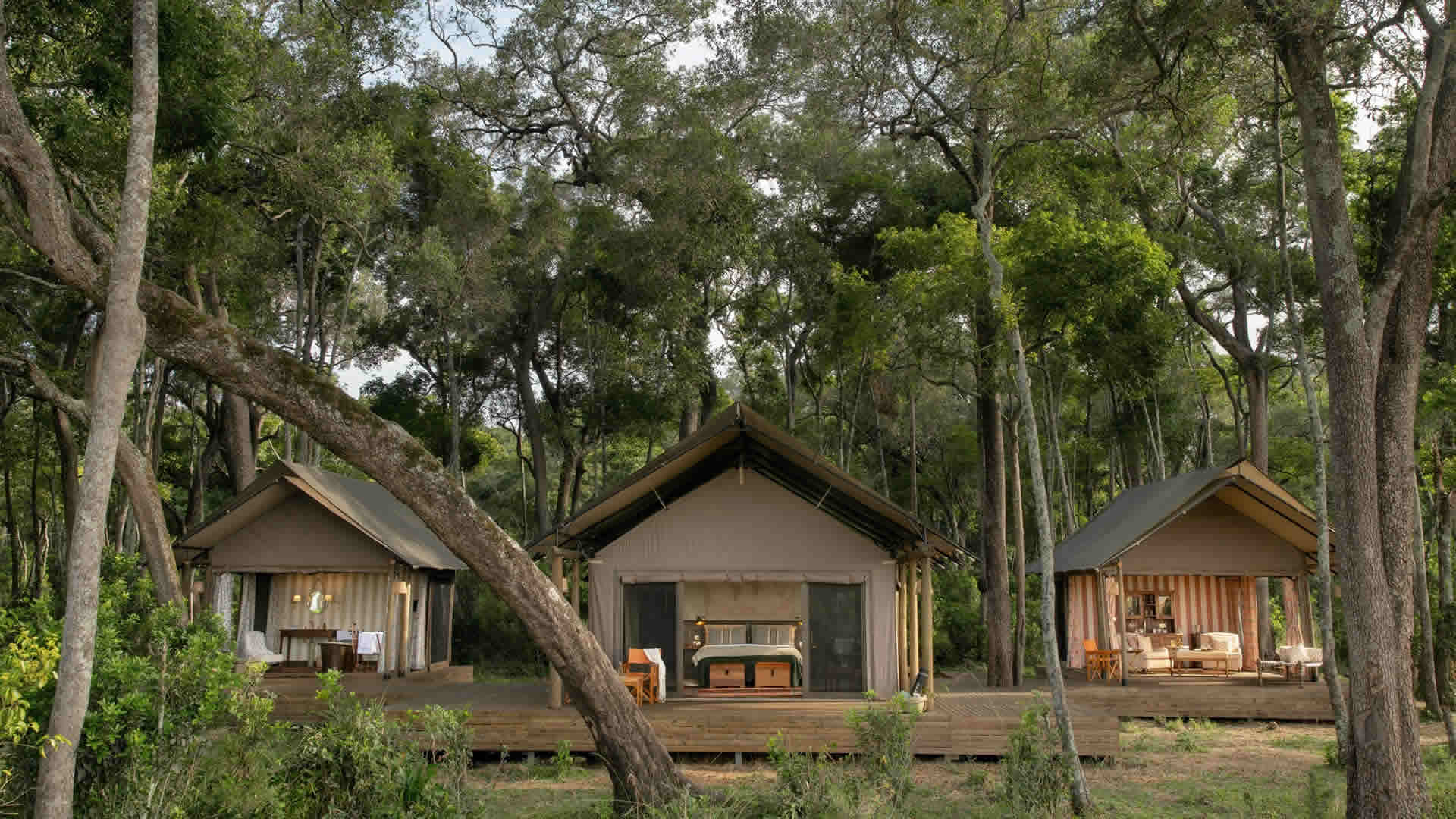 paradise plains story