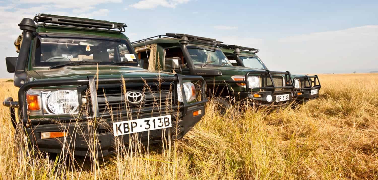 game drive landcruisers