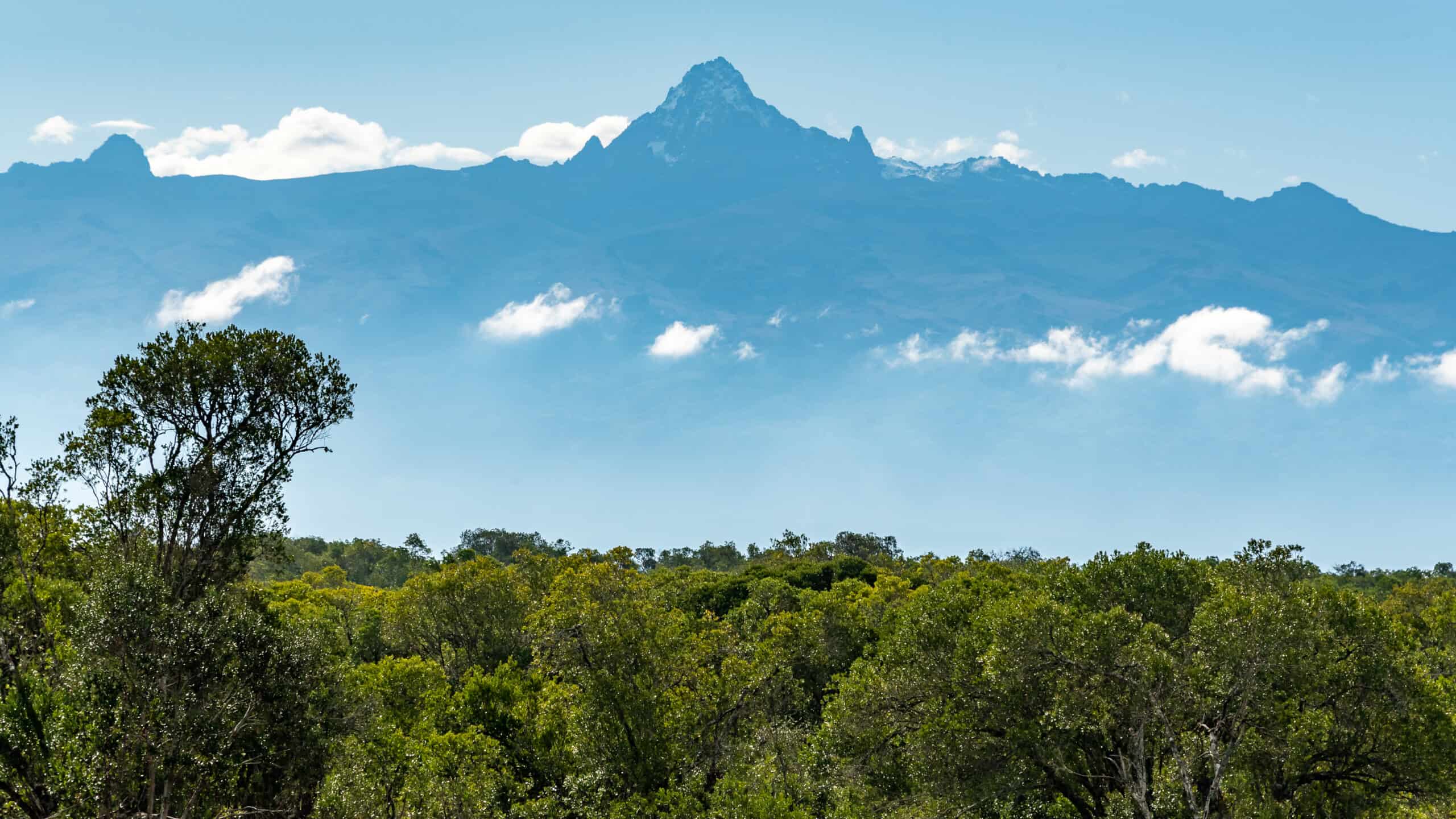 olpejeta conservancy views of mount kenya