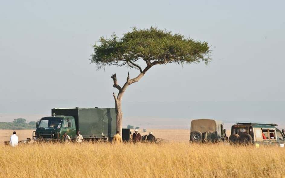 bush breakfast
