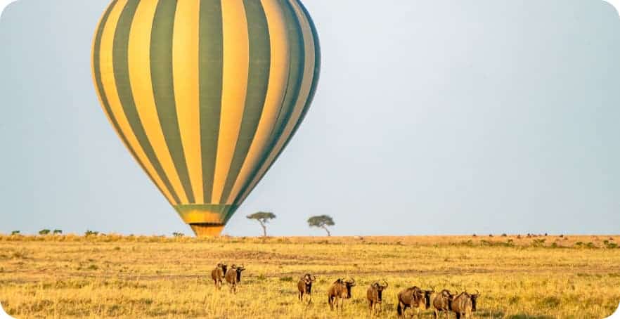 The finale is balloon flight certificate signed by your pilot as a memoir.