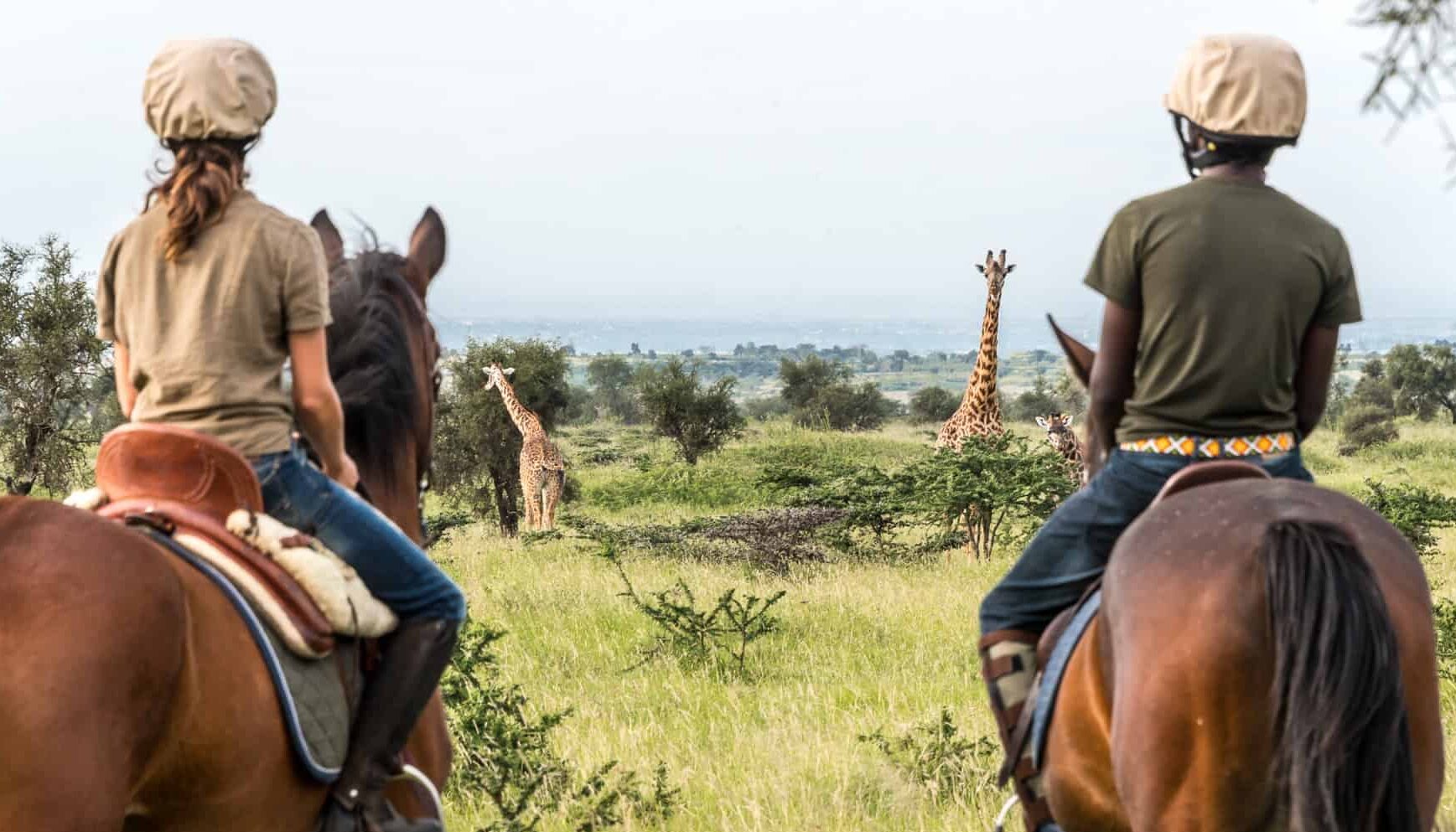 A horse safari is like no other experience. The thrill of being at one with nature never fades.
