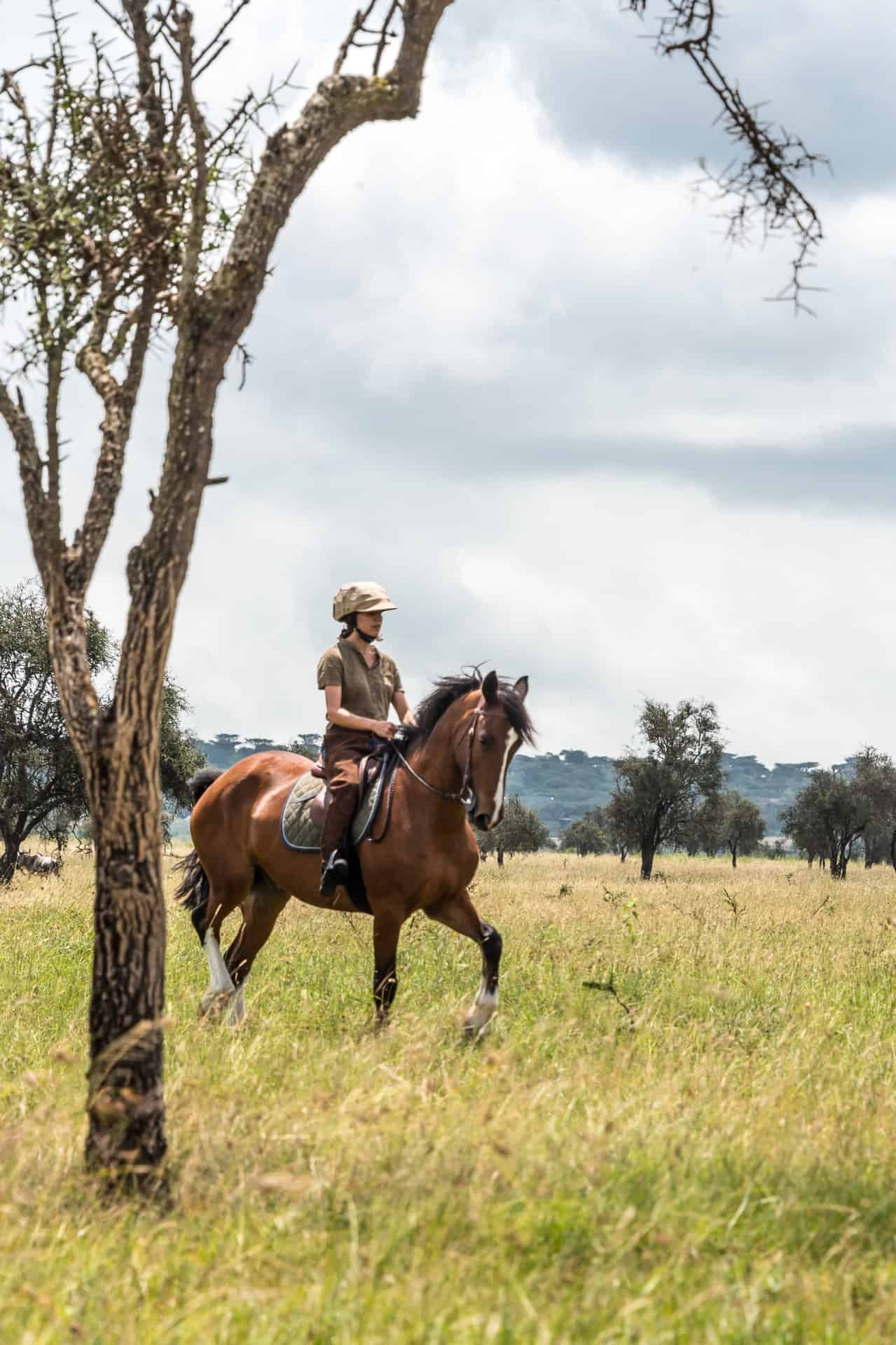 Step into our world by taking a look at some snapshots from our journeys through the Maasai Mara on horseback.