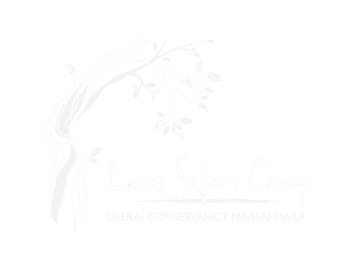 Lerai Camp new