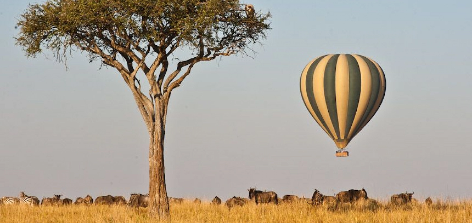 Luxury Kenya Safari Experiences